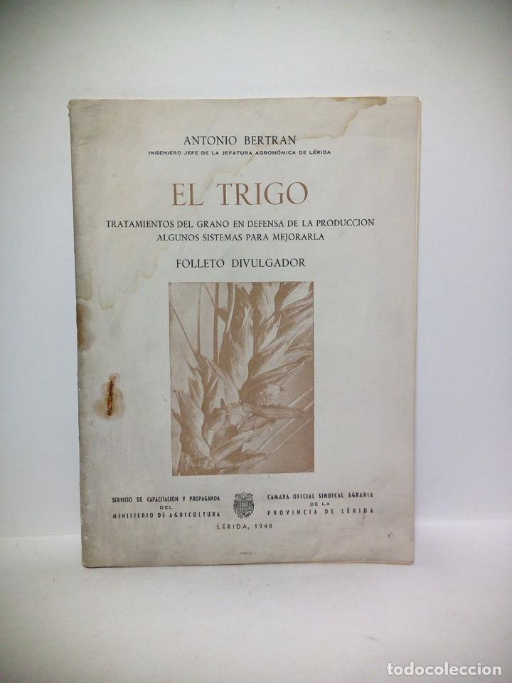 Otros Art&iacute;culos de Coleccionismo en Papel: BERTRAN, Antonio - El Trigo. Tratamiento del grano en defensa de la producci&oacute;n. Algunos sistemas par