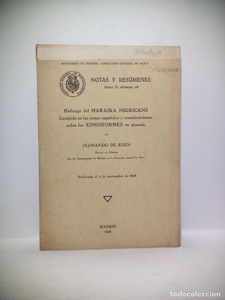 Altri oggetti di carta: BUEN, Fernando de - Hallazgo del Makaira Nigricans Lc&aacute;p&egrave;de en las costas espa&ntilde;olas y consideraciones