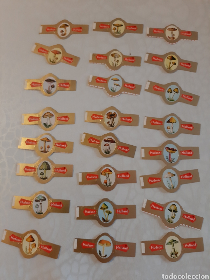 Otros Art&iacute;culos de Coleccionismo en Papel: SETAS FLIRA VITOLAS SERIE COMPLETA PERFECTA HUDSON HOLANDA