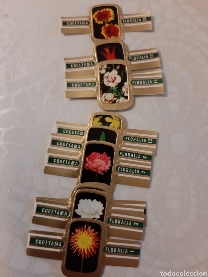 Otros Art&iacute;culos de Coleccionismo en Papel: FLORA FLORES VITOLAS SERIE COMPLETA PERFECTA COGETAMA FLORALIA 24 VITOLAS