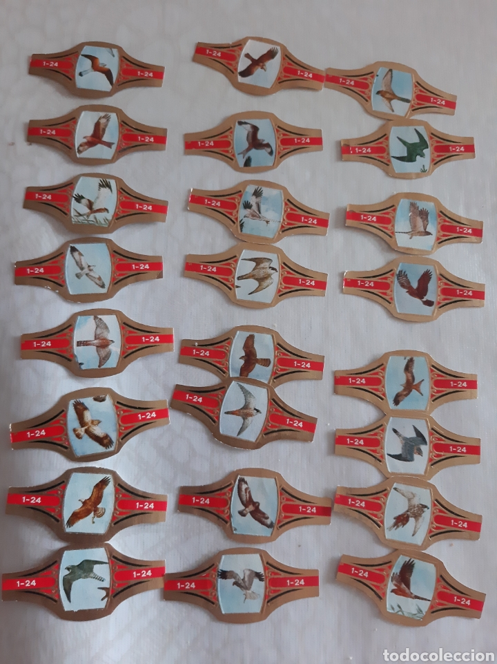 Otros Art&iacute;culos de Coleccionismo en Papel: VITOLAS aves fauna serie COMPLETA 24 VITOLAS ROOFVOGELSO