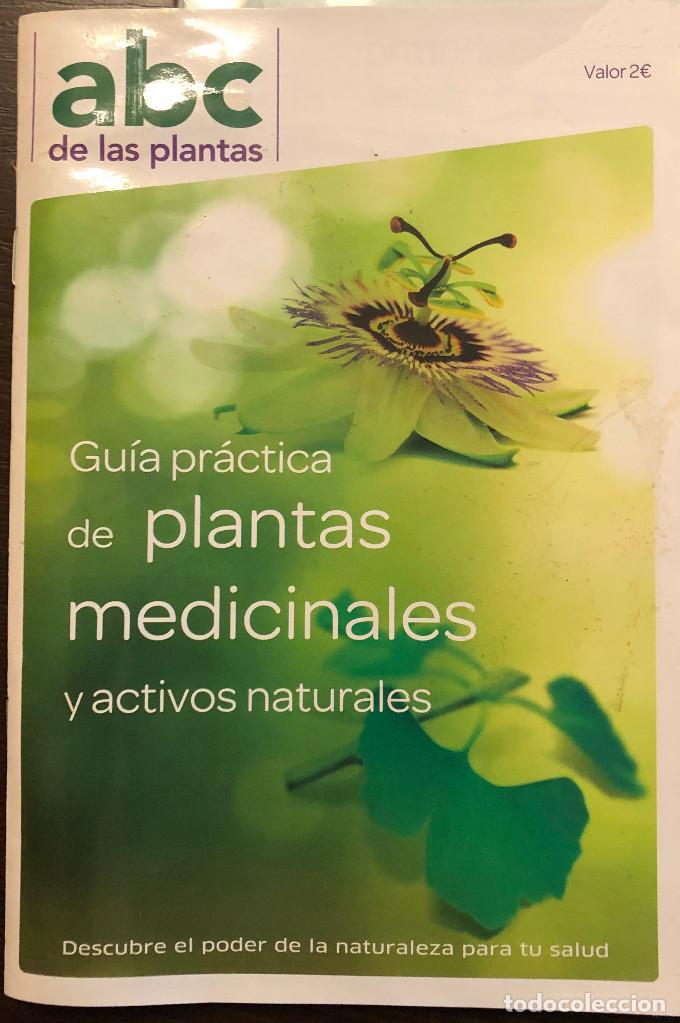 Otros Art&iacute;culos de Coleccionismo en Papel: 'ABC de las plantas'. Gu&iacute;a pr&aacute;ctica 60 hojas sobre plantas medicinales.