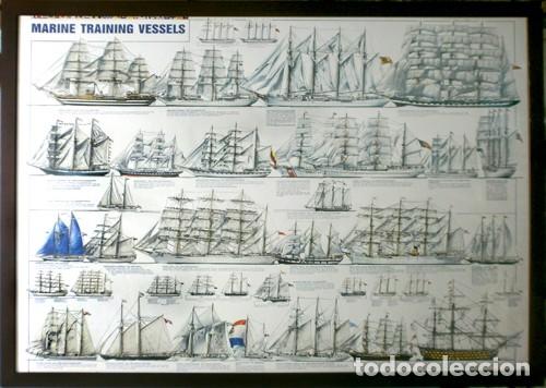 Otros art&iacute;culos de coleccionismo en papel: CARTEL MARINE TRAINING VESSELS (BUQUES DE ENTRENAMIENTO MARINO) - CUADRO-153