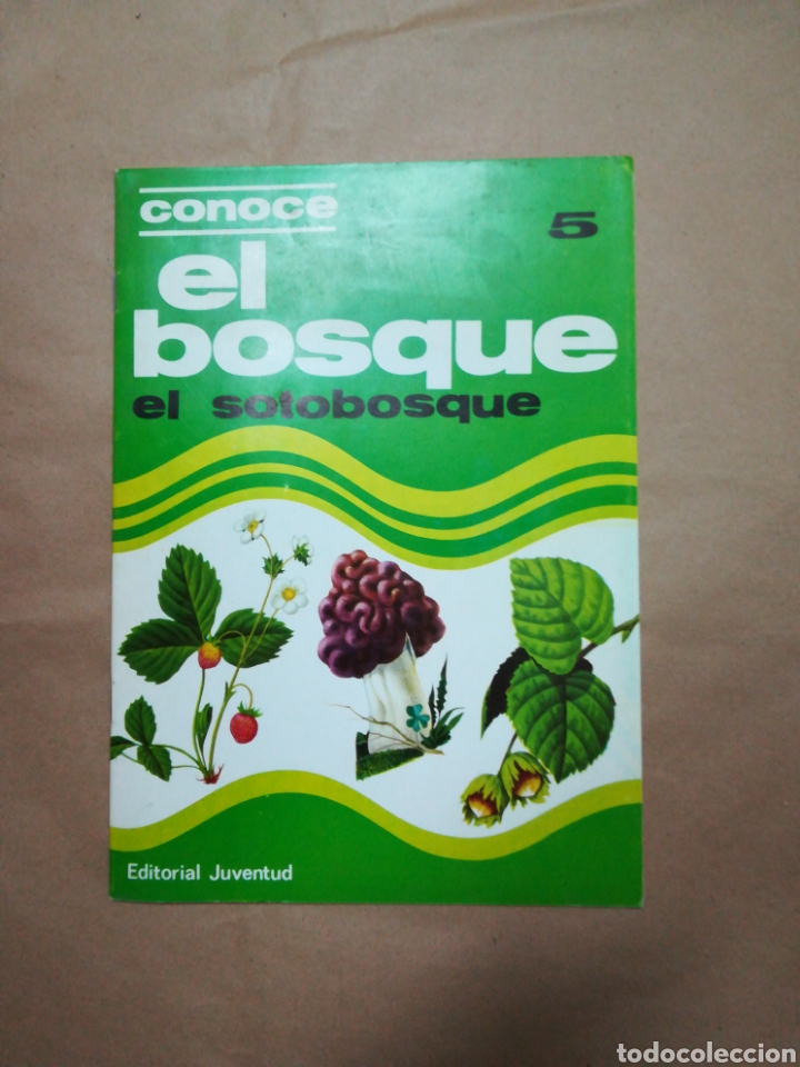 Otros Art&iacute;culos de Coleccionismo en Papel: Conoce el bosque sotobosque 5 editorial juventud