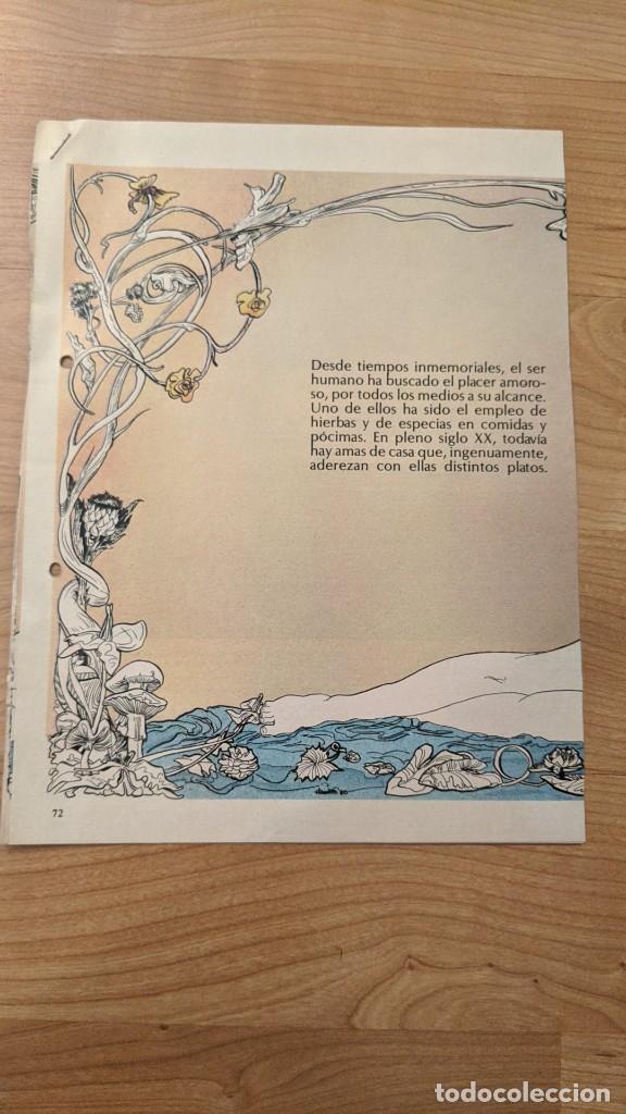 Outros artigos de papel: ANTIGUO ART&Iacute;CULO DE PRENSA &laquo;AFRODIS&Iacute;ACOS MILENARIOS&raquo; (6 P&Aacute;GS.)