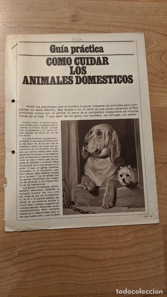 Outros artigos de papel: LOTE 5 ANTIGUAS &laquo;GU&Iacute;AS PR&Aacute;CTICAS&raquo; TELVA + 2 SOLUCIONES PR&Aacute;CTICAS TELVA + LOS TRUCOS DE LA ABUELA