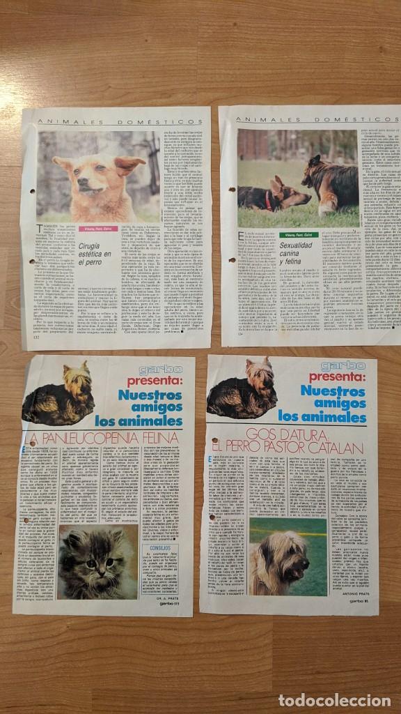 Collectionnisme Papier divers: RECORTES DE PRENSA SOBRE MASCOTAS