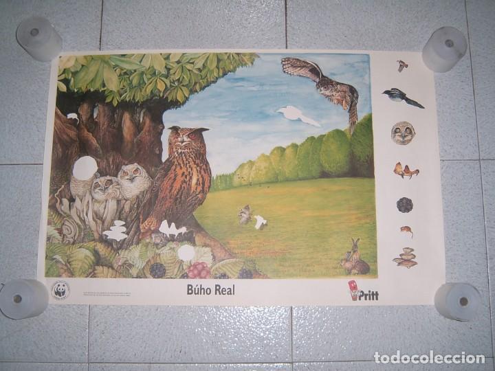 Otros art&iacute;culos de coleccionismo en papel: LOTE DE POSTERS PRITT - Foto 3