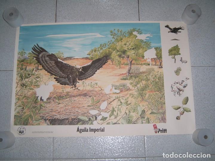 Otros art&iacute;culos de coleccionismo en papel: LOTE DE POSTERS PRITT - Foto 5