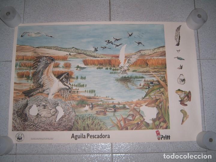 Otros art&iacute;culos de coleccionismo en papel: LOTE DE POSTERS PRITT - Foto 13