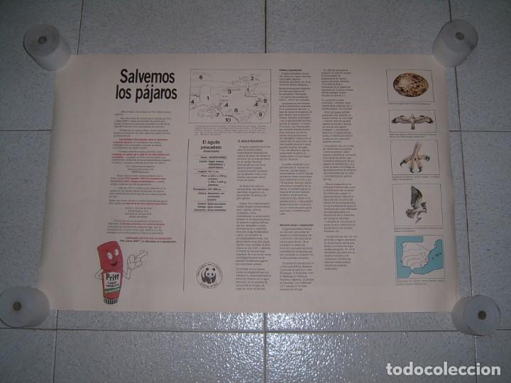 Otros art&iacute;culos de coleccionismo en papel: LOTE DE POSTERS PRITT - Foto 14