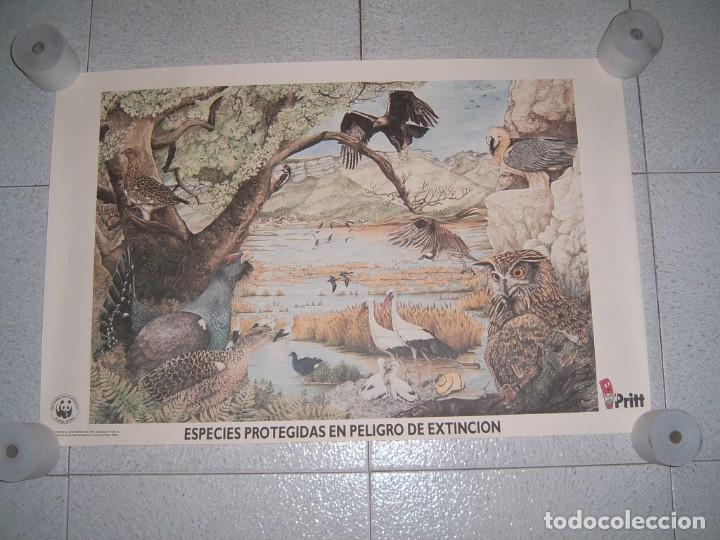 Otros art&iacute;culos de coleccionismo en papel: LOTE DE POSTERS PRITT - Foto 15