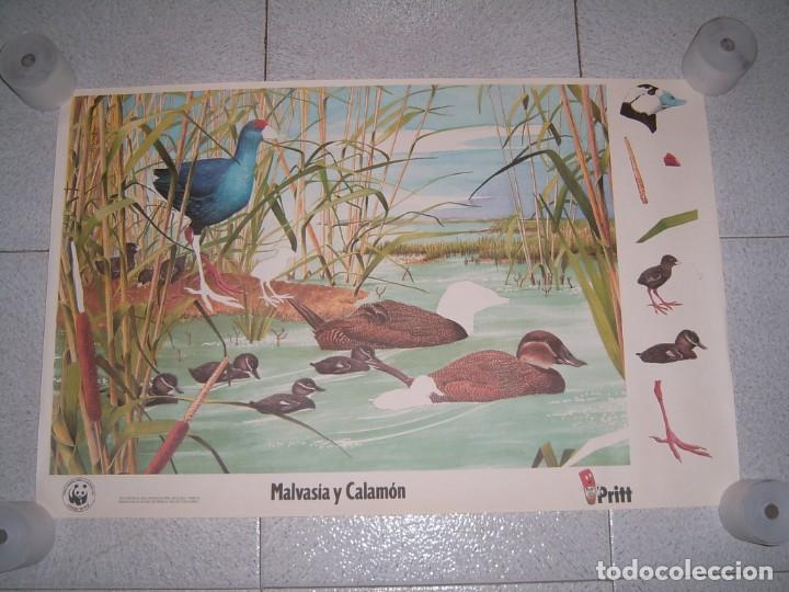 Otros art&iacute;culos de coleccionismo en papel: LOTE DE POSTERS PRITT - Foto 7