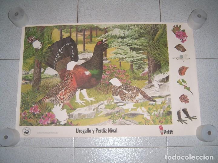 Otros art&iacute;culos de coleccionismo en papel: LOTE DE POSTERS PRITT - Foto 9