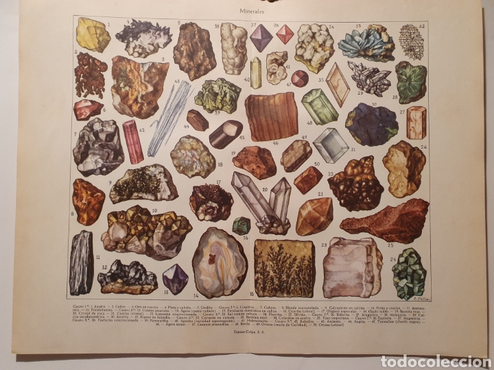 Otros Art&iacute;culos de Coleccionismo en Papel: MINERALES, LAMINA ENCICLOPEDIA, ESPASA CALPE 1957.
