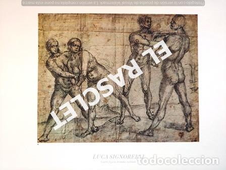 Paper Collecting Others: LAMINA REPRODUCCI&Oacute;N CUADRO DE LUCA SIGNORELLI - CUATRO FIGURAS DESNUDAS LUCHANDO - SIN ENMARCAR