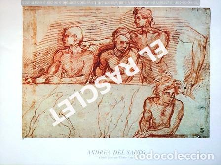 Paper Collecting Others: LAMINA REPRODUCCI&Oacute;N CUADRO DE ANDREA DEL SARTO - ESTUDIO PARA UNA &Uacute;LTIMA CENA - SIN ENMARCAR