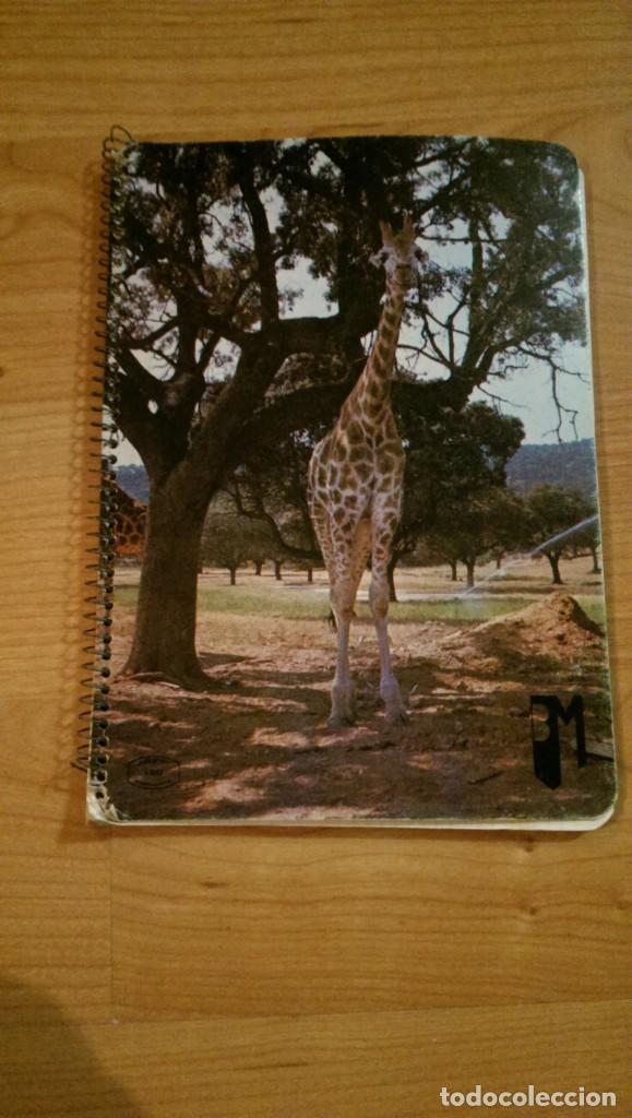 Paper Collecting Others: ANTIGUA LIBRETA ESCOLAR JIRAFA