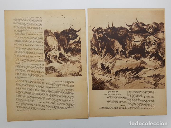 Paper Collecting Others: 1932. 3 hojas. En Aquel Tentadero por F. Cortines y Murube. Dibujo de Casero (toros). Blanco y Negro