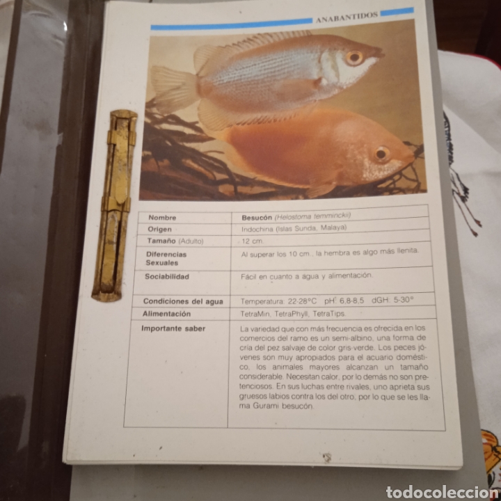Otros art&iacute;culos de coleccionismo en papel: 50 FICHA T&Eacute;CNICAS PECES