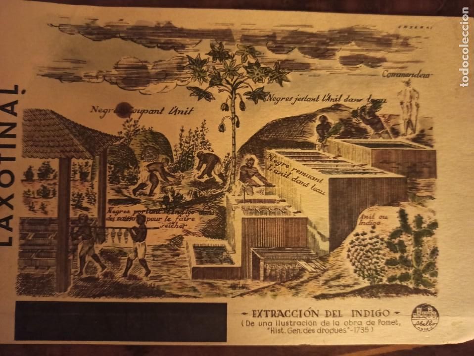 Otros art&iacute;culos de coleccionismo en papel: Laxotinal medicamento Abell&oacute; - Foto 1