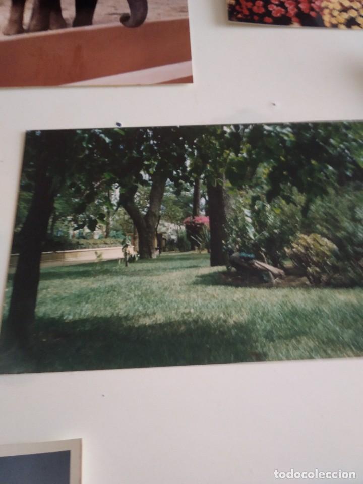 Paper Collecting Others: C-MARIA FOTOGRAFIA ANTIGUA JARDIN