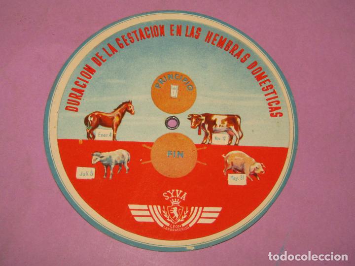 Otros Art&iacute;culos de Coleccionismo en Papel: Antiguo Disco de Cart&oacute;n Duraci&oacute;n de la Gestaci&oacute;n en Hembras Dom&eacute;sticas de Laboratorios S.Y.V.A. Le&oacute;n