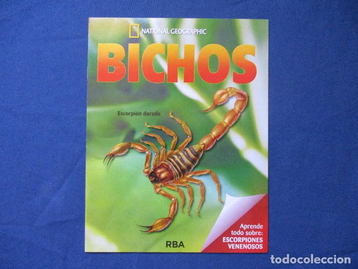 Otros art&iacute;culos de coleccionismo en papel: BICHOS / NATIONAL GEOGRAPHIC / ESCORPI&Oacute;N DORADO / SOLO EL FASC&Iacute;CULO