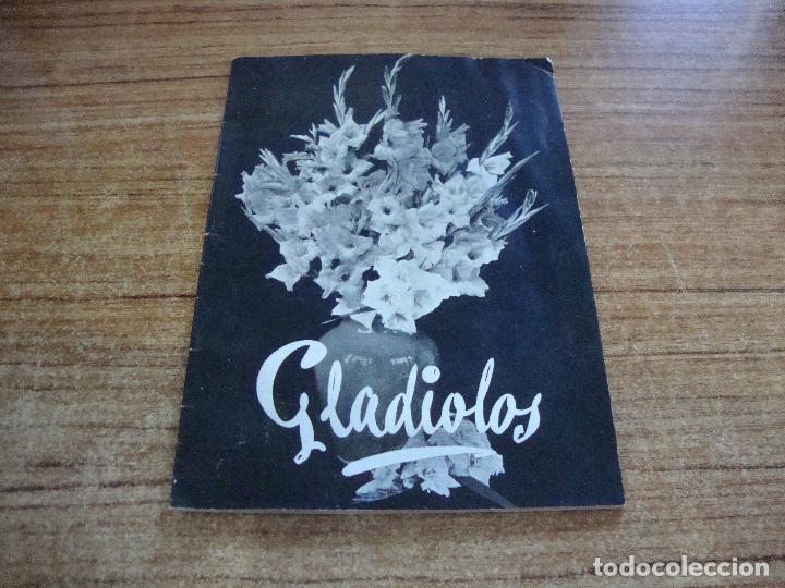 Sammelleidenschaft Andere Papierartikel: FOLLETO N&ordm; 25 HISTORIA Y CULTIVO DE LOS GLADIOLOS 26 PAGINAS