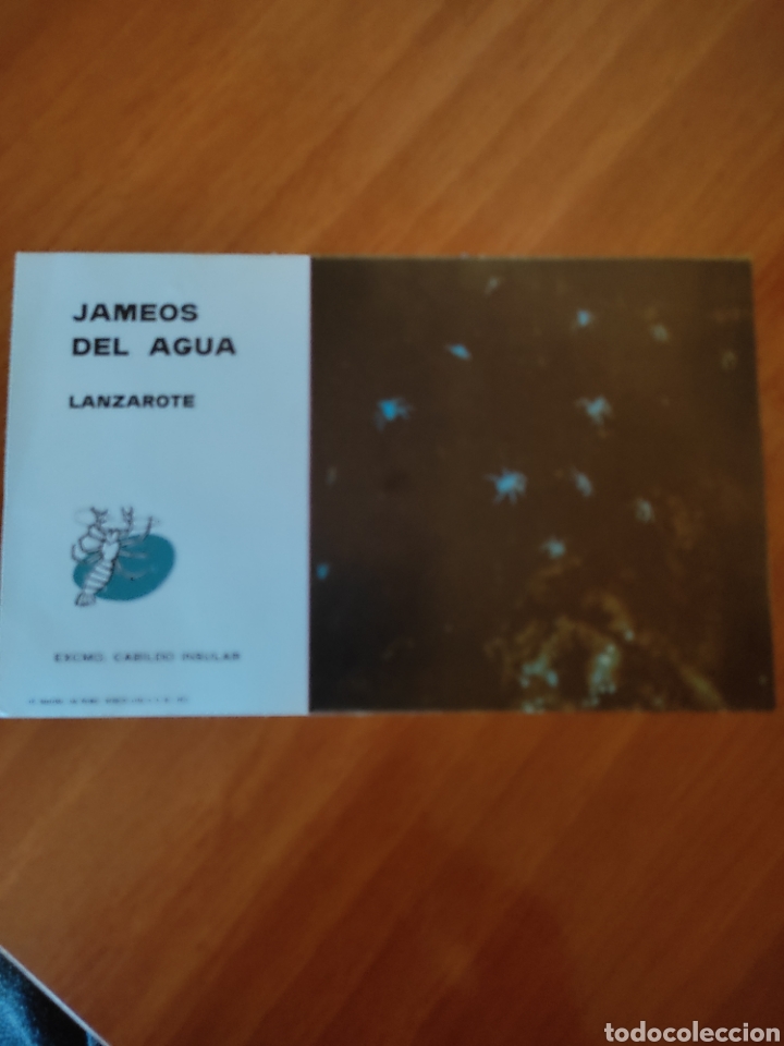 Otros art&iacute;culos de coleccionismo en papel: Tarjeta jameos del agua Lanzarote excelent&iacute;simo Cabildo insular
