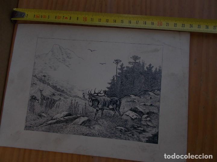 Paper Collecting Others: ANTIGUA GRAFICA