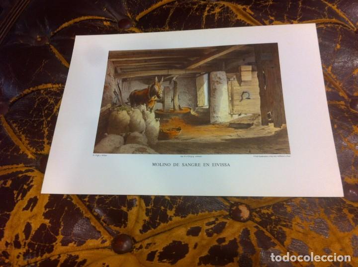 Paper Collecting Others: L&Aacute;MINA DE LAS ANTIGUAS PITIUSAS DE EL ARCHIDUQUE LUIS SALVADOR DE AUSTRIA. MOLINO DE SANGRE EIVISSA
