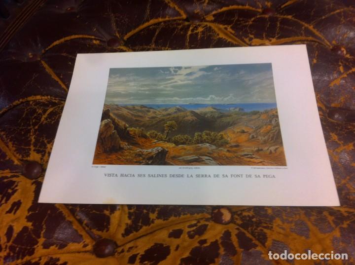 Paper Collecting Others: L&Aacute;MINA DE LAS ANTIGUAS PITIUSAS DE EL ARCHIDUQUE LUIS SALVADOR DE AUSTRIA. SERRA DE SA FONT DE SA...