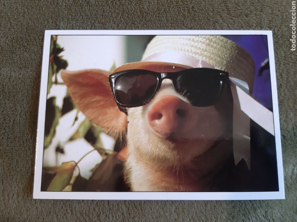 Otros art&iacute;culos de coleccionismo en papel: SIMP&Aacute;TICA POSTAL - Foto 1