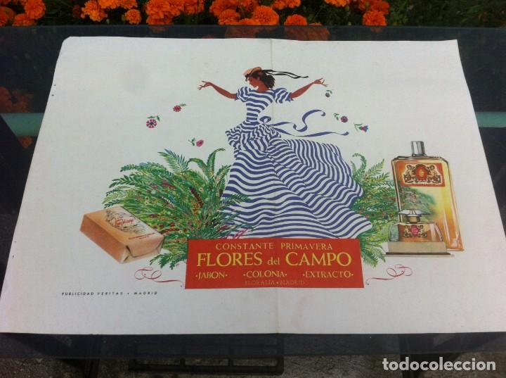 Collectionnisme Papier divers: L&Aacute;MINA EN CARTULINA. FLORES DEL CAMPO. JAB&Oacute;N - COLONIA - EXTRACTO. FLORALIA, MADRID. 45,5 X 33CM