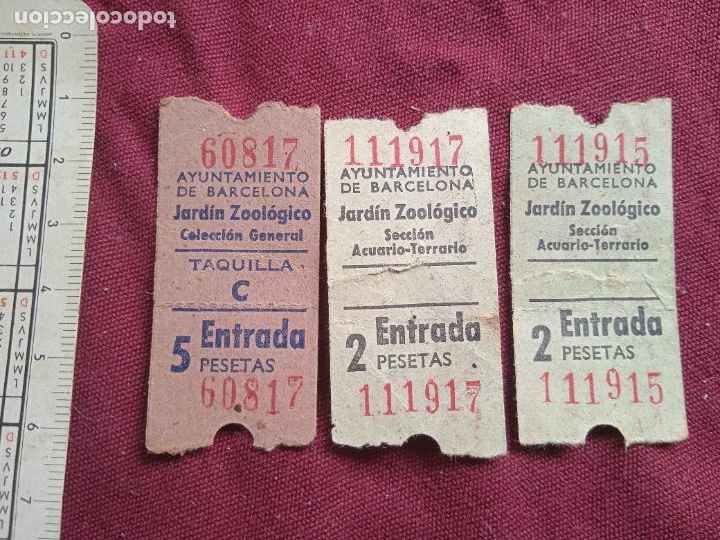 Otros Art&iacute;culos de Coleccionismo en Papel: Zool&oacute;gico de Barcelona. 3 entradas antiguas
