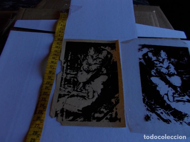 Paper Collecting Others: LAMINA DE IMPRENTA DE GATITO A&Ntilde;OS 50,60