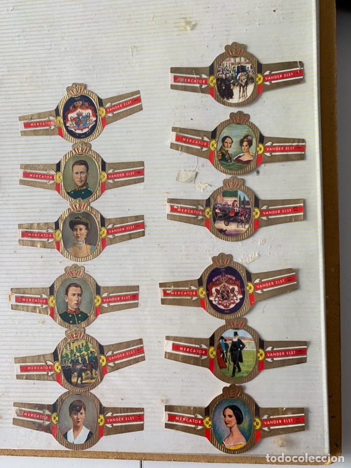 Otros Art&iacute;culos de Coleccionismo en Papel: 12 Vitolas MERCATOR-Vander Elst-serie familias reales