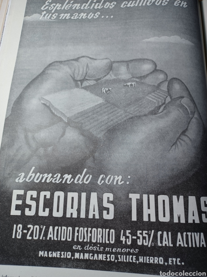 Sammelleidenschaft Andere Papierartikel: ABONANDO CON : ESCORIAS THOMAS . A&Ntilde;O 1957 . 29 X 22 CM