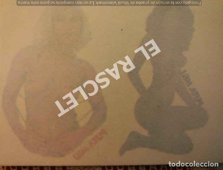 Paper Collecting Others: PUTA MILI - ADHESIVO - CALCAMONIA