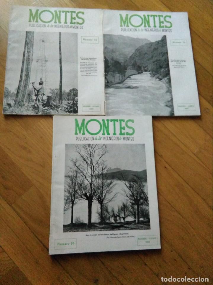 Otros Art&iacute;culos de Coleccionismo en Papel: Lote Antiguas revistas a&ntilde;os 50 montes de ingenieros forestales, servicio guarder&iacute;a forestal.