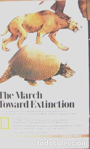 Otros Art&iacute;culos de Coleccionismo en Papel: mapa laminas 2 nat geo dinosaurios extincion prehistoria