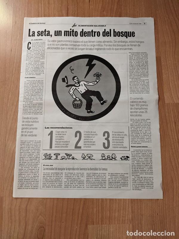 Collectionnisme Papier divers: RECORTE DE PRENSA LA SETA, UN MITO DENTRO DEL BOSQUE 1998