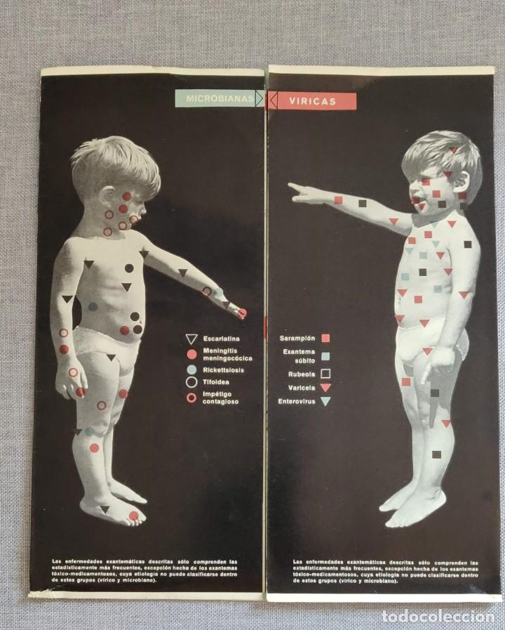 Otros art&iacute;culos de coleccionismo en papel: Triptico - Foto 2