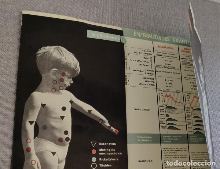Otros art&iacute;culos de coleccionismo en papel: Triptico - Foto 3