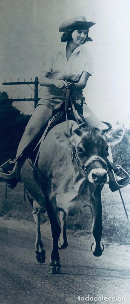 Otros Art&iacute;culos de Coleccionismo en Papel: Fotograf&iacute;a, chica montando un toro. Recorte de revista original a&ntilde;o 1954. 11 x 23 cm. Buen estado.