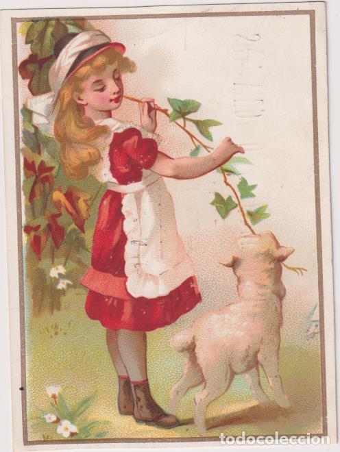 Paper Collecting Others: Cromo Tarjeta (11x8) Leg&iacute;a F&eacute;nix para el lavado. Alcuceros, 4. Sevilla. Siglo XIX