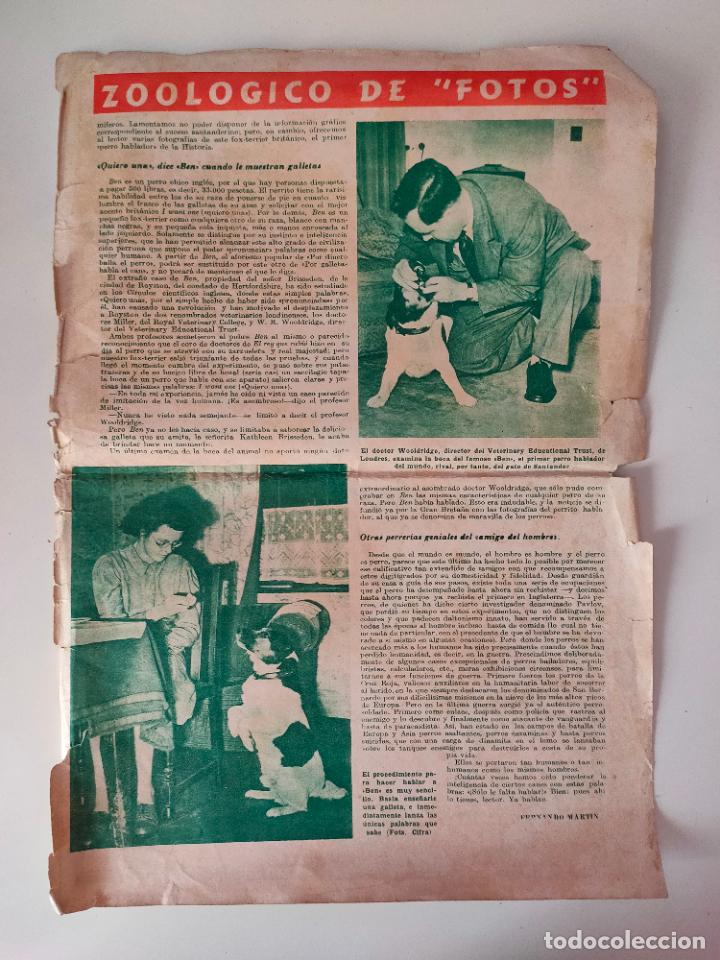 Outros artigos de papel: ZOOLOGICO DE FOTOS PERROS PERRERIAS PUBLICIDAD CO&Ntilde;AC CAVA KINA SAN CLEMENTE MALAGA