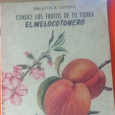Otros Artículos de Coleccionismo en Papel: EL MELOCOTONERO J4. Lote 380409144