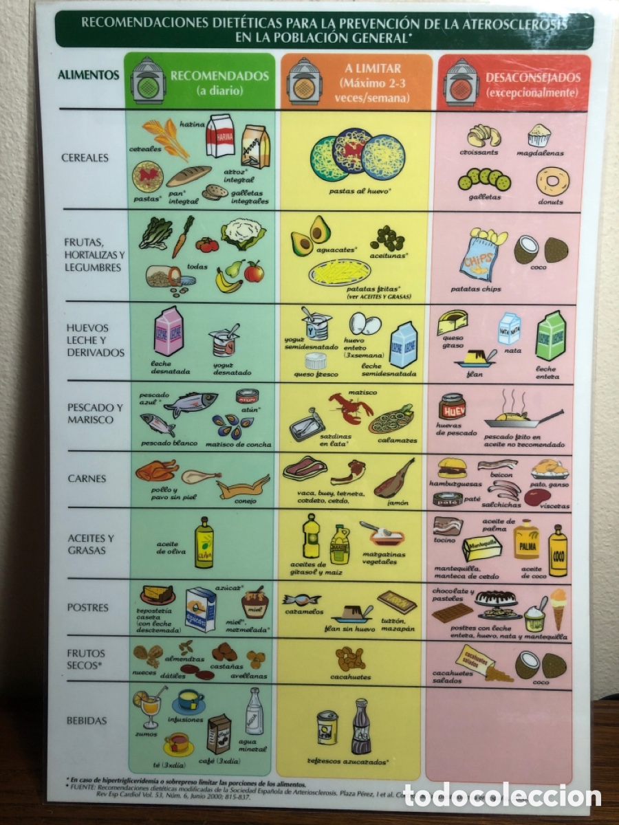 Otros art&iacute;culos de coleccionismo en papel: TABLA RECOMENDACIONES HIGI&Eacute;NICO DIET&Eacute;TICAS PARA EL PACIENTE CON HIPERLIPIDEMIA CEPA SCHWARZ PHARMA